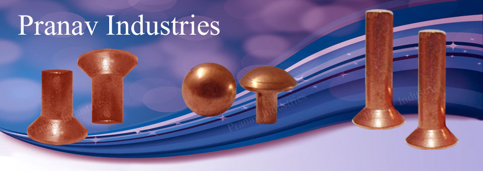 Pranav Industries